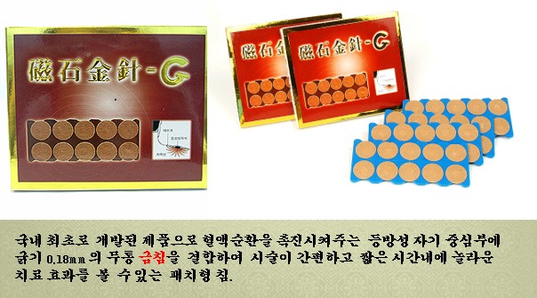 [종교] 프란치스코 교황, 