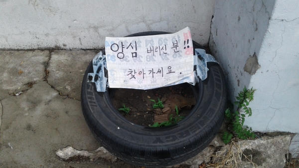 서울 모처에서 버려진 양심