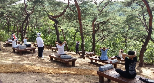 서울 남산의 힐링숲