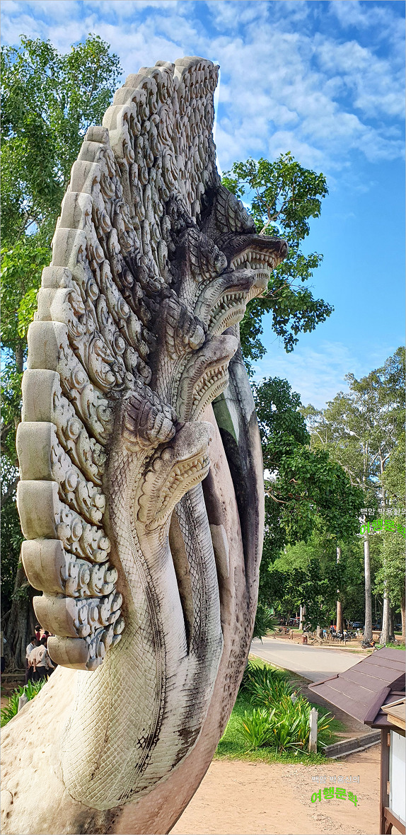 ▲앙코르와트 수호신으로 입구에 세워져 있는 일곱개의 머리를 가진 나가(뱀)석상. 조각이 너무 섬세함에 놀랐다.
