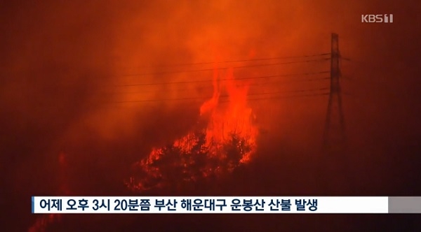 부산 해운대 산불 (사진=KBS1)