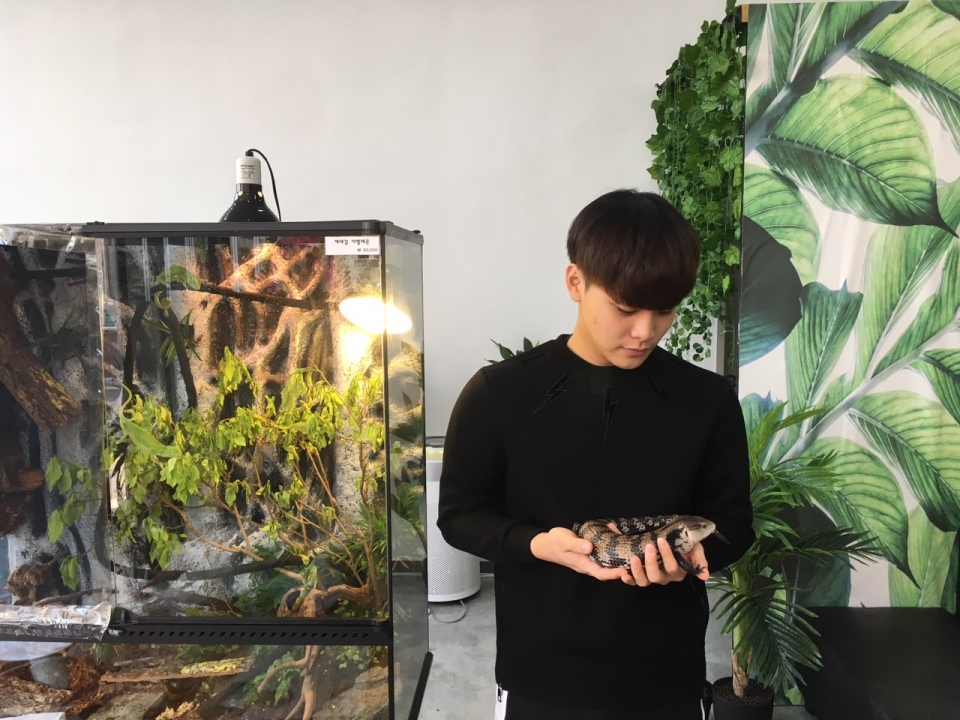 청년 창업가 박예찬씨가 강아지 크기의 애완용 도마뱀을 핸들링하고 있다.