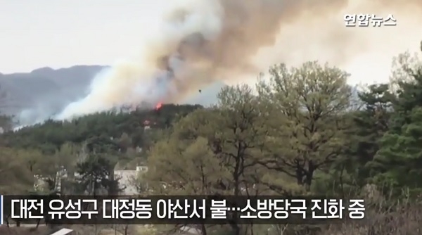 대전 산불 (사진=연합뉴스)