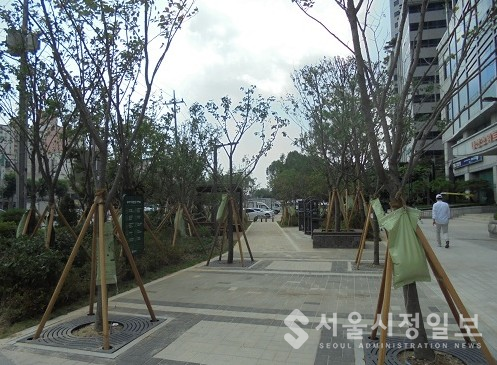 서울 동작구의 유휴부지 활용한 나무심기 사업 모습