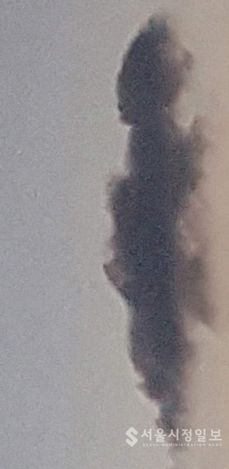 사진설명 : 하늘이 섬진강 비룡대 하늘마당의 구름으로 보이는 뜻이 무엇일까? 안철수의 수호신일까. 저승사자일까. 모를 일이다.
