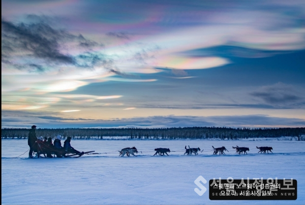 스웨덴과 알래스카의 시공의 개썰매와 오로라 장면