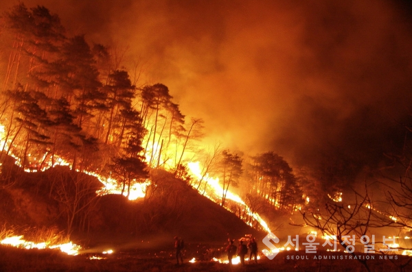 대형 산불 예방, 소중한 산림 보존