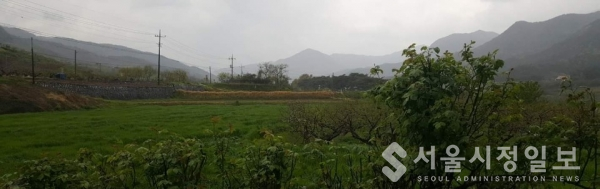 사진 설명 : 봄 농사를 위해서 꼭 필요한 시기에 내린다는 비 곡우(穀雨)에 젖고 있는 신령한 국사봉(國師峯)의 모습