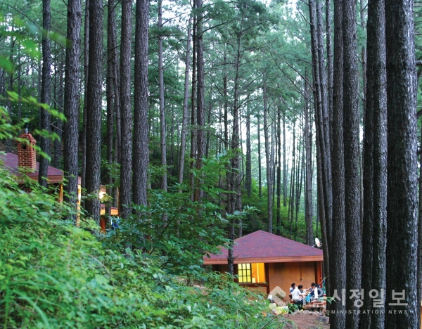 백운산 자연휴양림 5월의 추천 관광지 숲캉스 선정(백운산 자연휴양림)