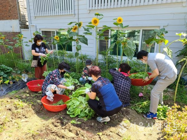 복날 자원봉사를 위한 물김치에 삼계탕 잔치를 위한 유기농채소를 케고 있다
