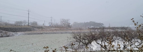 사진 설명 : 거센 겨울 폭풍이 눈보라를 몰아오고 있는 창문 밖 섬진강 강변의 모습