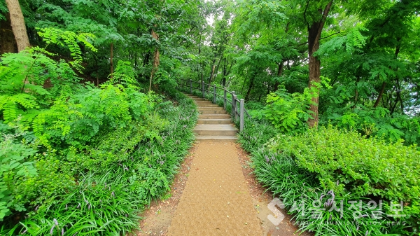 도곡근린공원 2.7㎞ 일대 ‘걷고 싶은 매봉길’ 탈바꿈