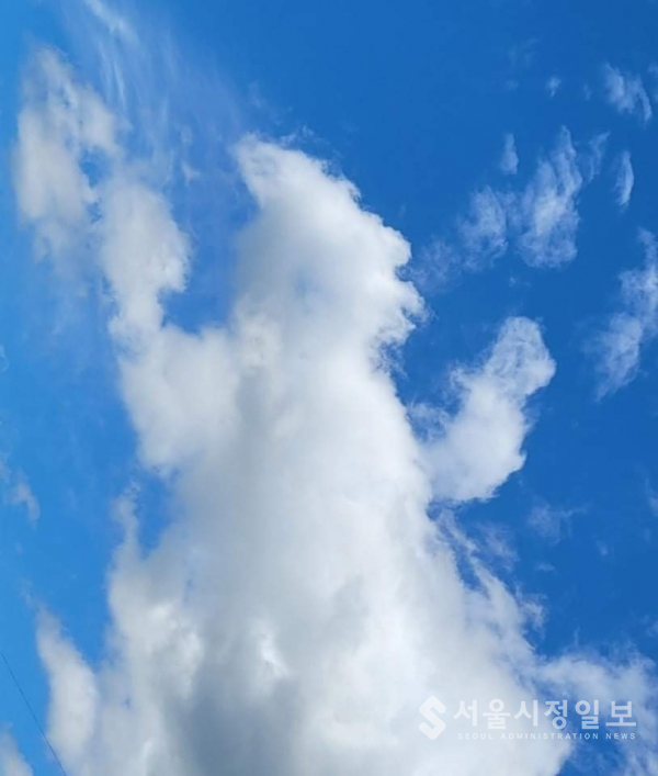 구례읍 길에 세상을 태평성대로 이끌어 갈 성군(聖君)의 시대를 기다리고 있는 봉산(鳳山) 하늘에 뜬 흰 구름이다