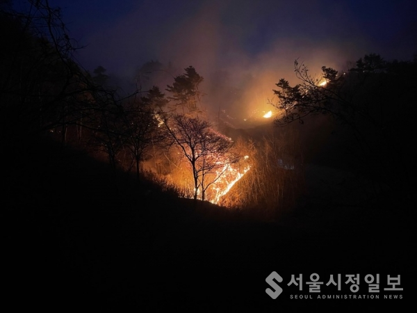 25일 발생한 전남 구례군 간전면 효곡리 야산 산불이 야간 시간 산림을 태우고 있다. 산림청 제공
