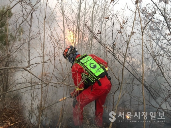 전남 구례군 간전면 효곡리 산불이 야간에도 산림을 태우고 있다. 산림청 제공