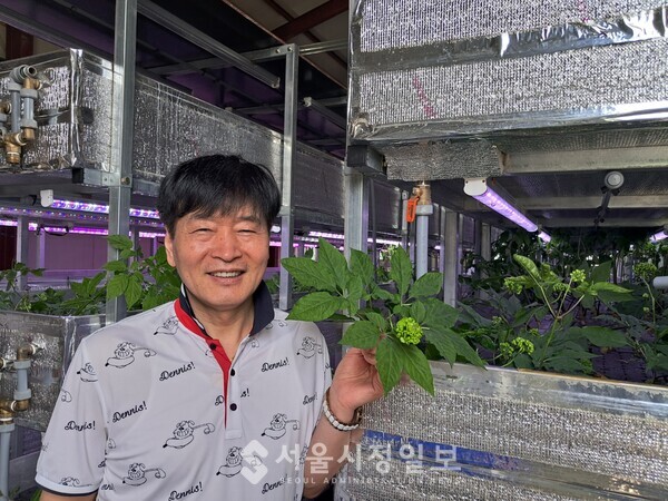 농약을 없애주는 인삼 수경재배 현장을 둘러보는 김태현 대표이사