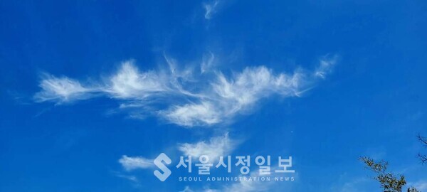 사진 설명 : 봉산의 하늘을 나는 마음에 담아둔 한 점 흰 구름이다