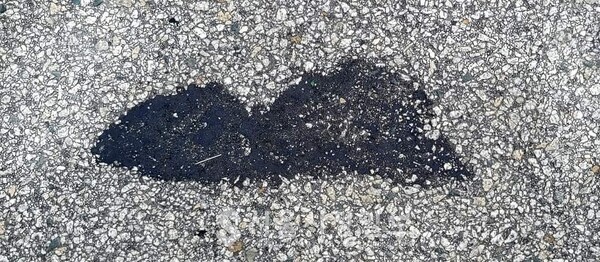 사진 설명 : 뜨거운 여름날 아스팔트 위에 떨어진 한 점 검은 아스콘이 한 폭의 수묵화가 되었다.
