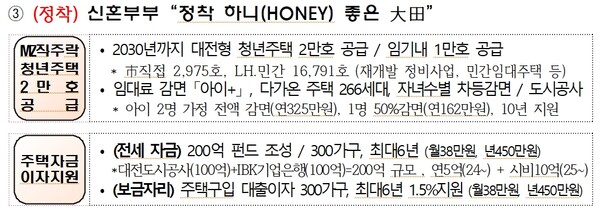 '하니(HONEY) 대전 프로젝트' 세번째: ‘정착 하니(HONEY) 좋은 대전’   /  대전시 제공.