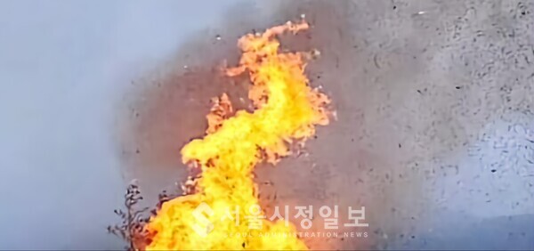 사진 설명 : 지난 정월 대보름날 구례군 토지면(吐旨面) 구만(九滿)들에서 태우는 액막이 달집이 타는 모습이다.