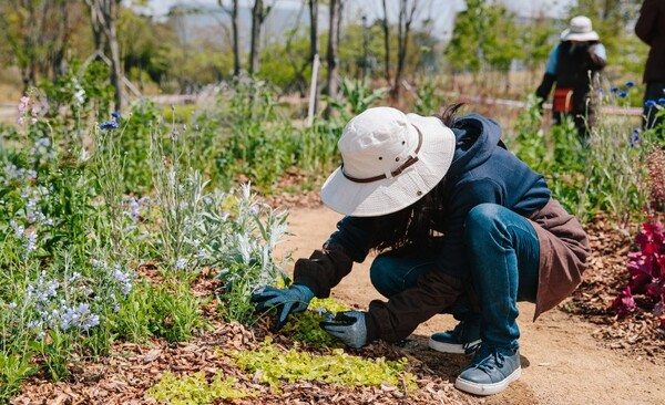 5월 10일부터 25주, 100시간 과정으로 진행되는 정원‧식물관리 전문가 양성과정 운영 (서울시청= 제공)  